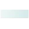 Shelves 2 pcs Panel Glass Clear 100x30 cm - Stylish Display