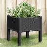 Garden Planter with Legs Black 40x40x42 cm PP Colour black Size 40 x 40 x 42 cm Quantity in Package 1 