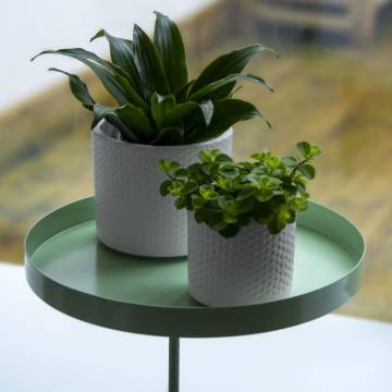 Esschert Design Plant Tray with Clamp - Green | Hipomarket