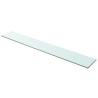 Shelf Panel Glass Clear 100x15 cm Size 100 x 15 cm Quantity in Package 1 Number of Pieces 