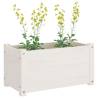 Garden Planters 2 pcs | White Solid Pinewood - Hipomarket