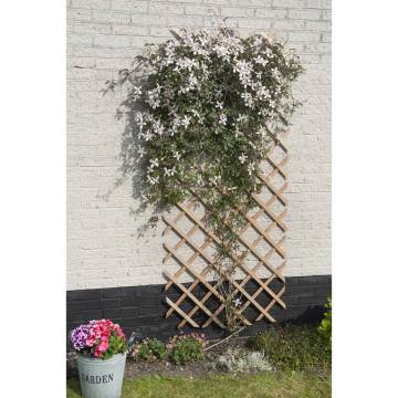 Nature Garden Trellis 50x150 cm - Adjustable Wooden Support