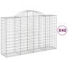 Arched Gabion Baskets - 40 pcs Galvanised Iron | HipoMarket