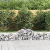 Arched Gabion Baskets 2 pcs 200x50x40/60 cm Galvanised Iron Size 200 x 50 x 40/60 cm Quantity in Package 2 