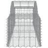 Arched Gabion Baskets 2 pcs - Galvanised Iron | HipoMarket