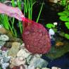 Ubbink Garden Pond Peat Aquavital 10L - Enhance Your Pond Life