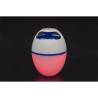 Bestway Floating Bluetooth LED Speaker - Waterproof & Colorful