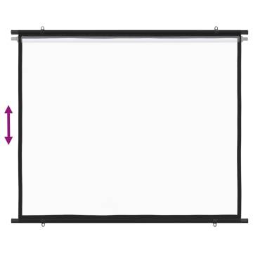 100" 4:3 Projection Screen - Perfect for Home & Office | HipoMarket