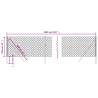 Chain Link Fence Anthracite 1x10 m - Durable & Secure