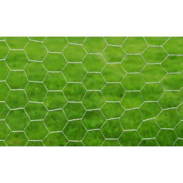 Galvanised Steel Chicken Wire Fence 25x1m | HipoMarket