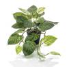 Emerald Artificial Scindapsus Bush 55 cm - Eco-Friendly Decor