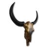 HSM Collection Decorative Buffalo Head - Gold 80x10x80 cm