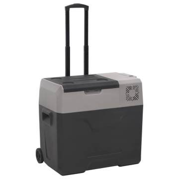 Portable Cool Box with Wheel & Handle - 40L, Black & Grey