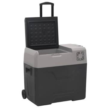 Portable Cool Box with Wheel & Handle - 40L, Black & Grey