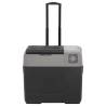 Portable Cool Box with Wheel & Handle - 40L, Black & Grey