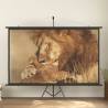 Projection Screen 108" 16:9 Size 108" 16:9 