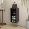 High Gloss Black Shoe Cabinet - Stylish Storage Solution