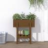 Honey Brown Garden Planter | Solid Wood Pine - 62x30x69 cm