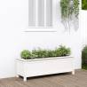 Garden Raised Bed White 119.5x40x39 cm Solid Wood Pine Colour white pine Size 119.5 x 40 x 39 cm Quantity in Package 1 