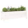 Garden Raised Bed White - Solid Pine Wood 119.5x40x39 cm