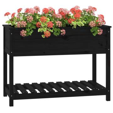 Planter with Shelf Black - Solid Pine Wood 111.5x54x81 cm