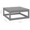 2 Piece Garden Lounge Set - Grey Solid Pinewood | HipoMarket