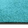 Washable Cyan Doormat 60x90 cm - Durable & Non-Slip