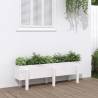 Garden Raised Bed White 121x30x38 cm Solid Wood Pine Colour white pine Size 121 x 30 x 38 cm Quantity in Package 1 