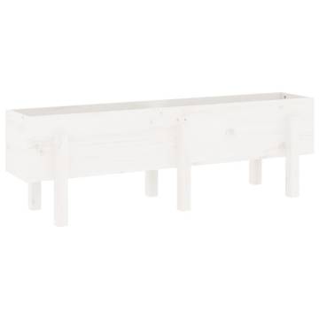 Garden Raised Bed White - 121x30x38 cm Solid Pine | Hipo Market