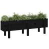 Garden Raised Bed Black - 121x30x38 cm Solid Pine Wood