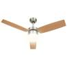 Light Brown Ceiling Fan with Remote Control - 108 cm | HipoMarket