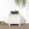 Garden Planter White 40x40x39 cm Solid Wood Pine Colour white pine Size 40 x 40 x 39 cm Quantity in Package 1 