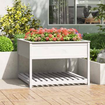 Planter with Shelf White - Solid Pine Wood 111.5x111.5x81 cm