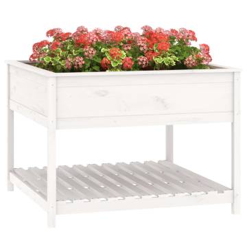 Planter with Shelf White - Solid Pine Wood 111.5x111.5x81 cm