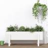 Garden Raised Bed White 101x30x38 cm Solid Wood Pine Colour white pine Size 101 x 30 x 38 cm Quantity in Package 1 