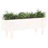 Garden Raised Bed White 101x30x38 cm - Solid Pine Wood