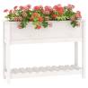 White Planter with Shelf - 111.5x34.5x81 cm Solid Pine Wood