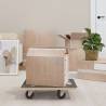 Dolly Trolleys 2 pcs - Easy Furniture & Appliance Moving