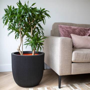 Capi Planter Groove 35x34 cm Black | Eco-Friendly & Stylish