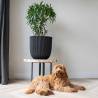 Capi Planter Groove 35x34 cm Black | Eco-Friendly & Stylish