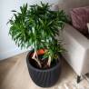 Capi Planter Groove 35x34 cm Black | Eco-Friendly & Stylish