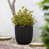 Capi Planter Groove 35x34 cm Black | Eco-Friendly & Stylish