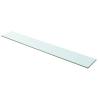 2 Pcs Clear Glass Shelves 100x15 cm - Modern Display Solution