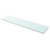 Shelf Panel Glass Clear 100x25 cm Size 100 x 25 cm Quantity in Package 1 Number of Pieces 