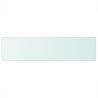 Clear Glass Shelf Panel 100x25 cm | HipoMarket UK