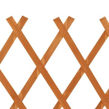 Garden Trellis Fence - Orange 120x90 cm Solid Firwood