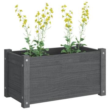 Garden Planter Grey 60x31x31 cm - Solid Pinewood | HipoMarket