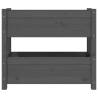 Grey Solid Wood Pine Planter - 77x25x66 cm | Hipomarket