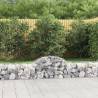 Arched Gabion Baskets 3 pcs 200x50x40/60 cm Galvanised Iron Size 200 x 50 x 40/60 cm Quantity in Package 3 