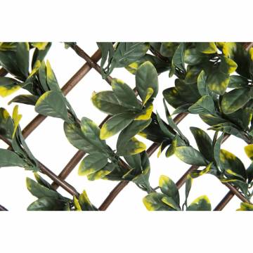 Nature Garden Trellis with California Privet - 90x180 cm